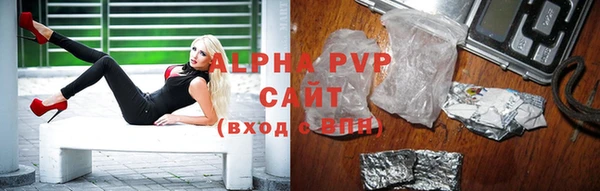 бошки Корсаков